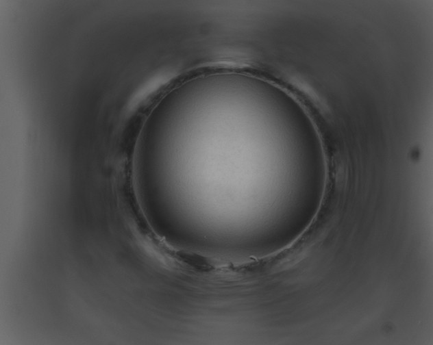 X0000093511448200710191300