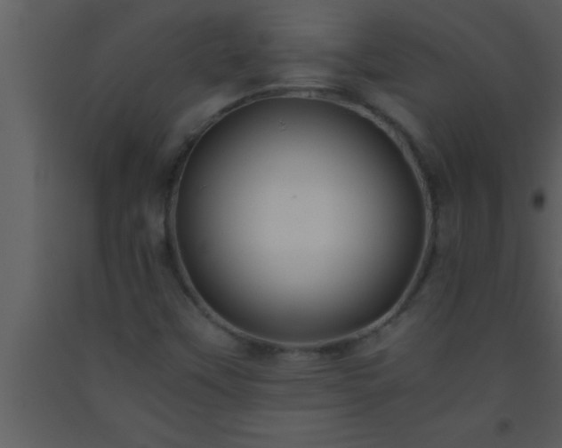 X0000093511451200710191300