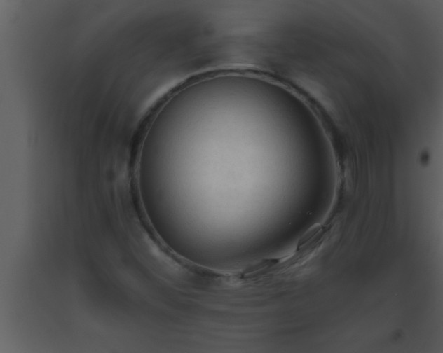 X0000093511452200710191300