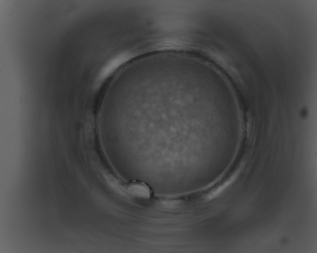 X0000093511453200710191300