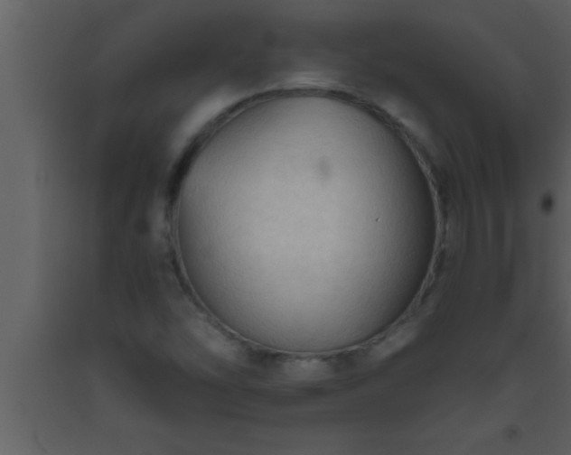 X0000093511454200710191300