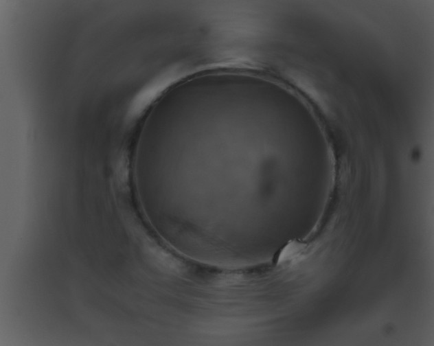 X0000093511455200710191300