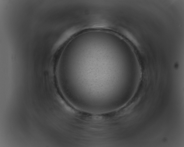 X0000093511456200710191300