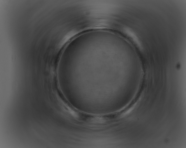 X0000093511457200710191300