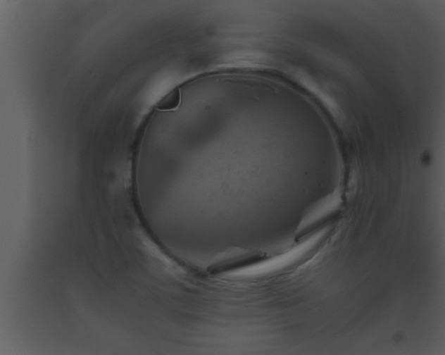 X0000093511459200710191300
