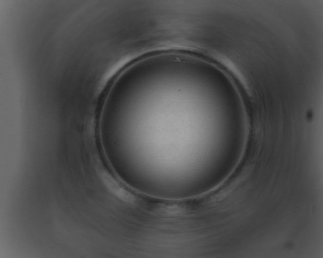 X0000093511460200710191300