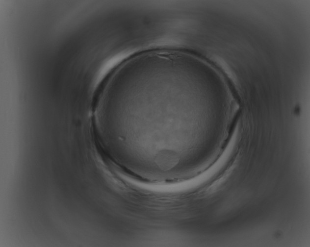 X0000093511461200710191300