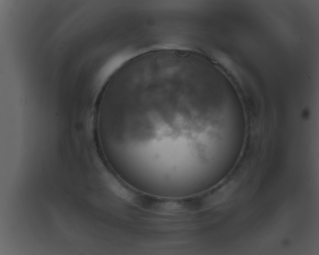 X0000093511463200710191300