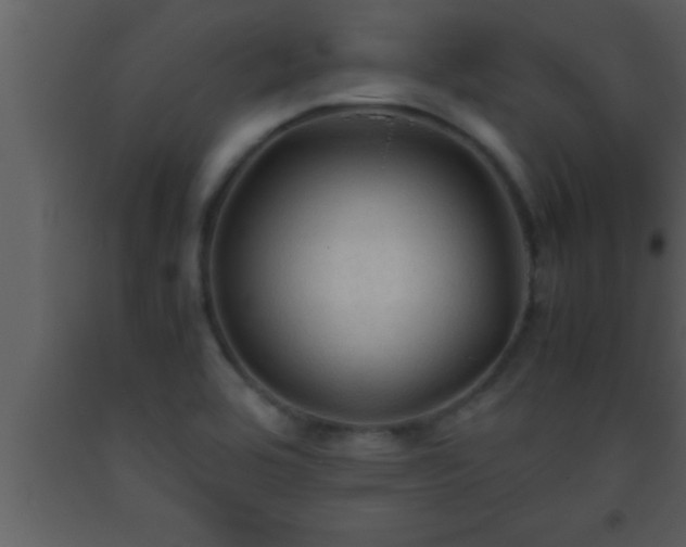 X0000093511464200710191300