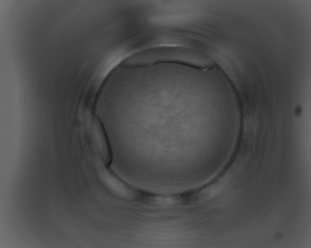 X0000093511465200710191300