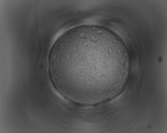 X0000093511467200710191300