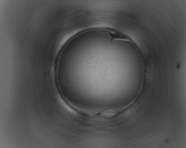 X0000093511468200710191300