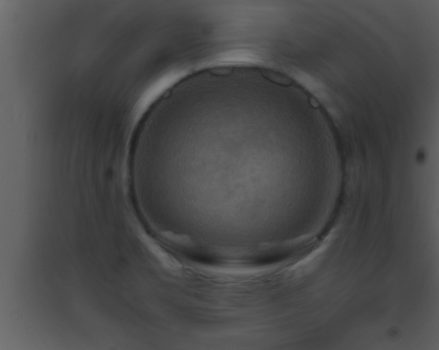 X0000093511469200710191300