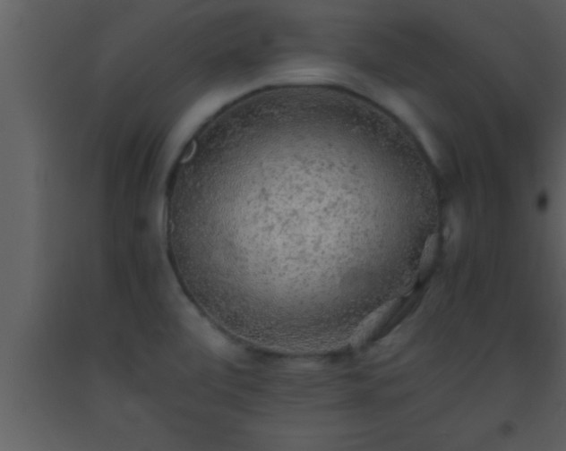 X0000093511472200710191300