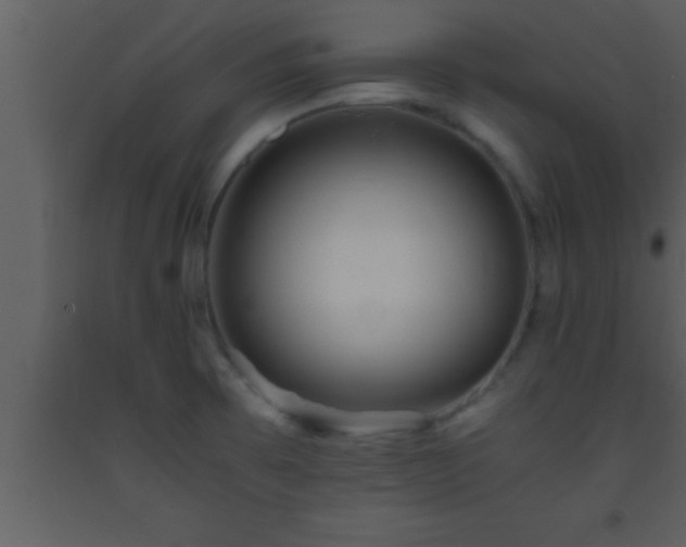 X0000093511473200710191300