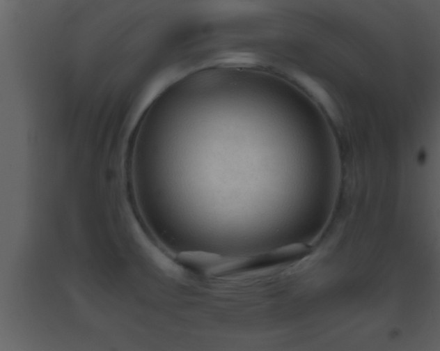 X0000093511475200710191300