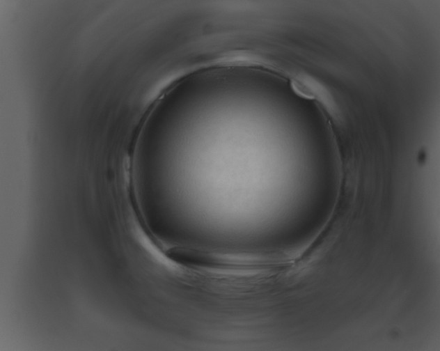 X0000093511476200710191300