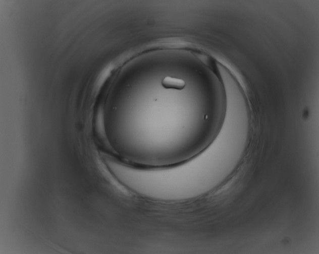 X0000093511477200710191259