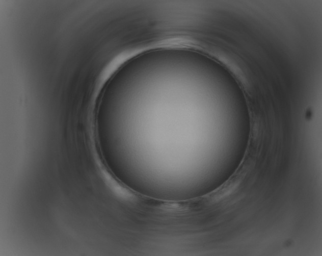 X0000093511478200710191259