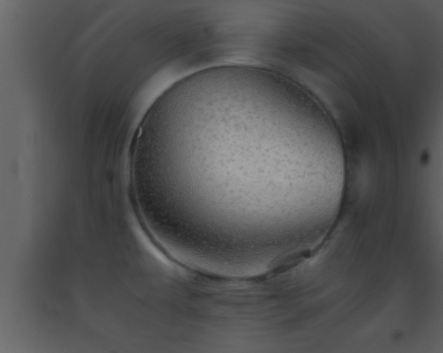 X0000093511479200710191259