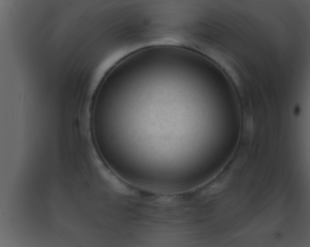 X0000093511480200710191259