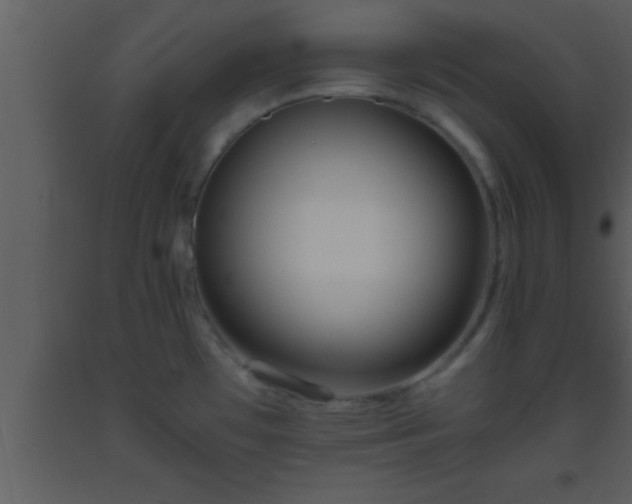 X0000093511481200710191259