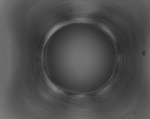 X0000093511482200710191259