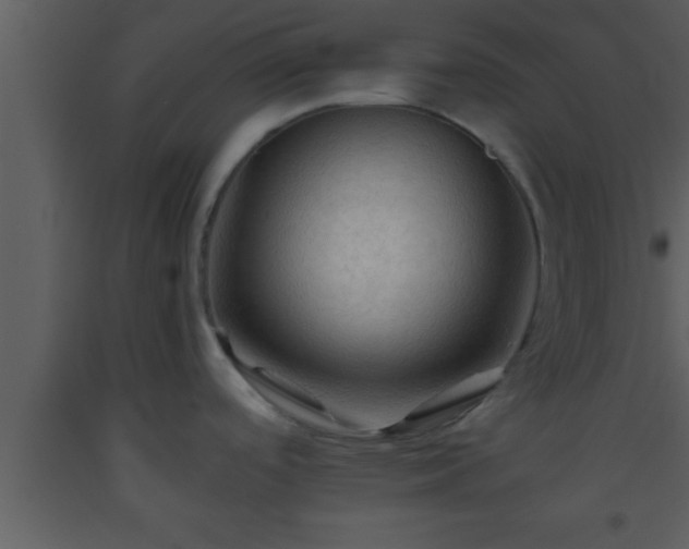 X0000093511488200710191259