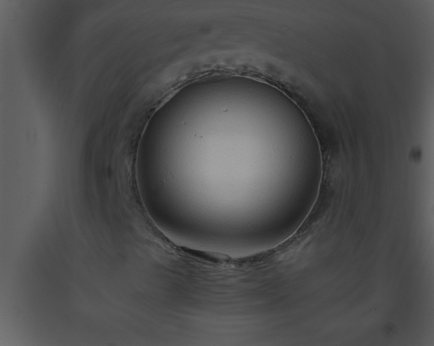 X0000093511489200710191259