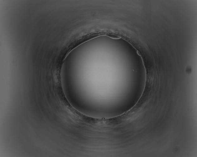 X0000093511490200710191259