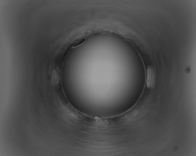 X0000093511491200710191259