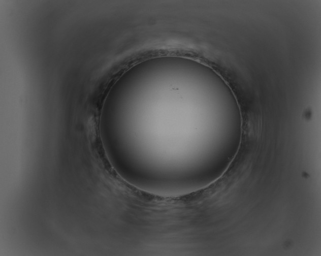 X0000093511493200710191259