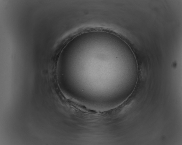 X0000093511494200710191259