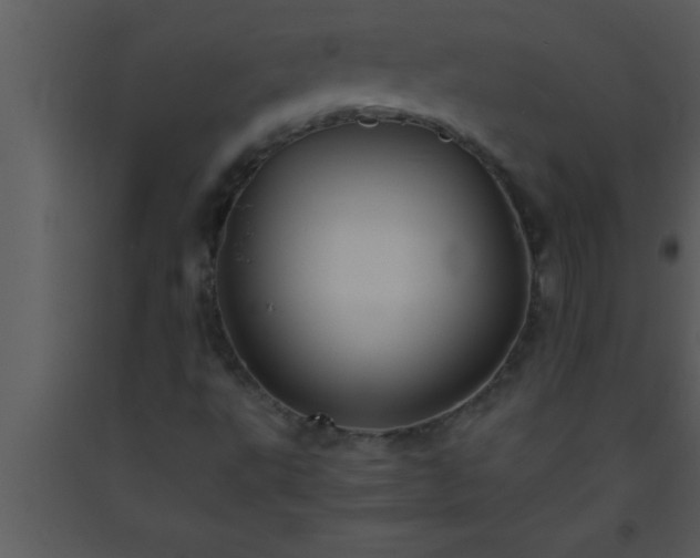 X0000093511495200710191259