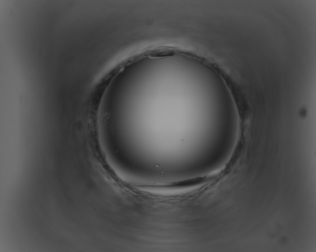 X0000093511496200710191259