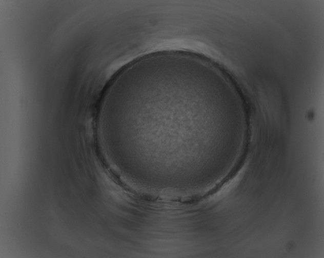 X0000093511497200710191259