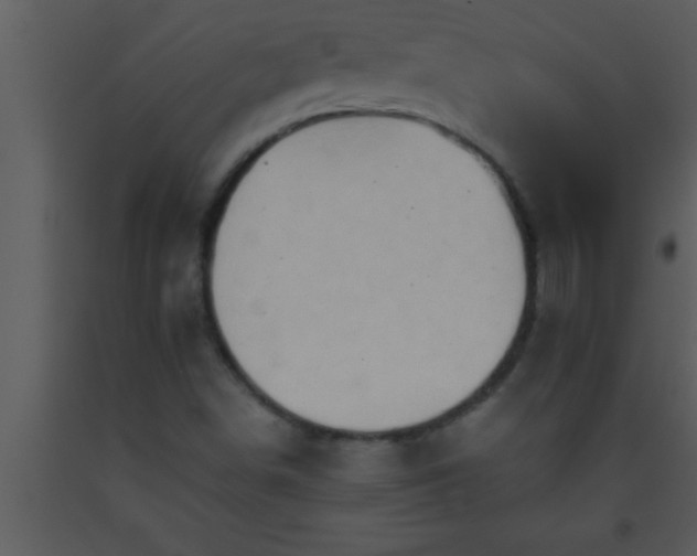 X0000093511498200710191259