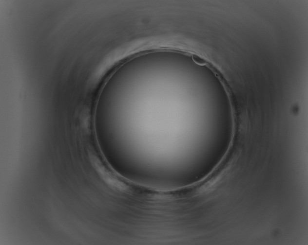 X0000093511499200710191259