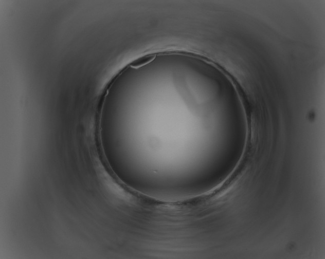 X0000093511500200710191259