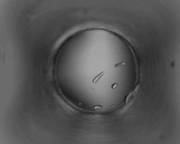 X0000093511502200710191259