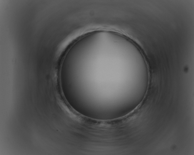 X0000093511503200710191259