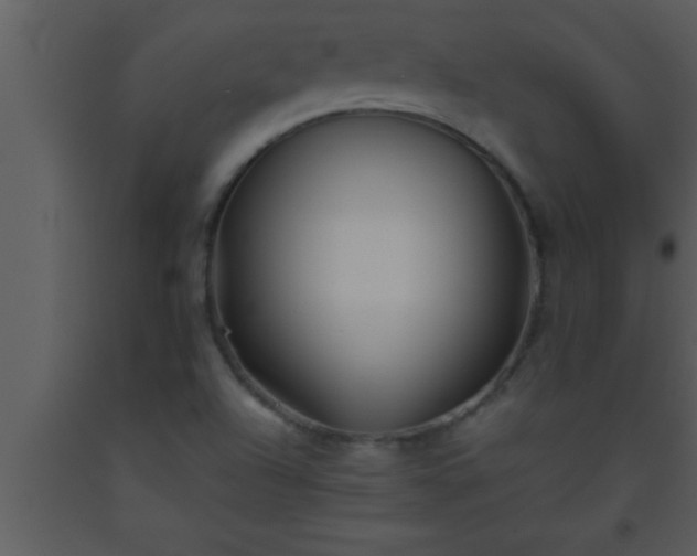 X0000093511504200710191259