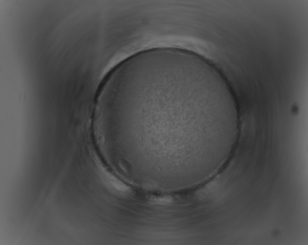 X0000093511505200710191259