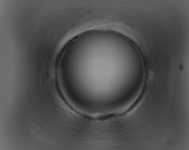 X0000093511506200710191259