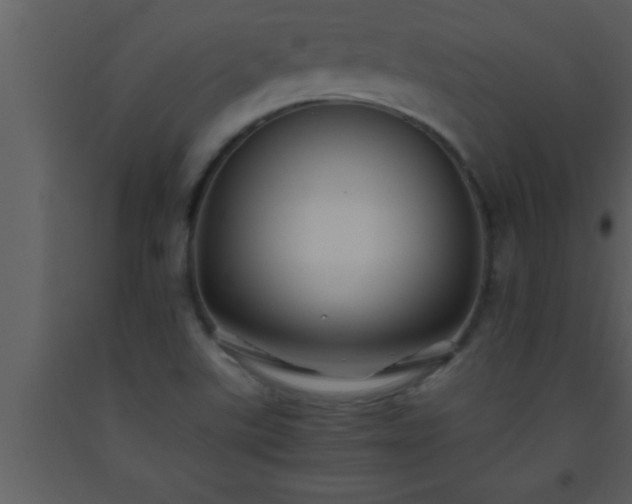 X0000093511507200710191259