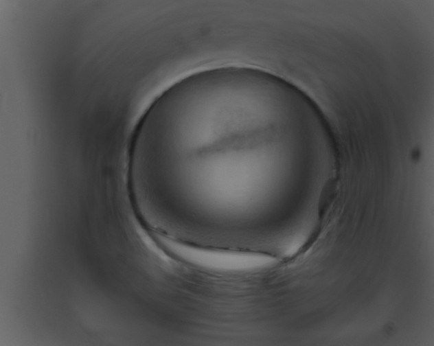 X0000093511508200710191259