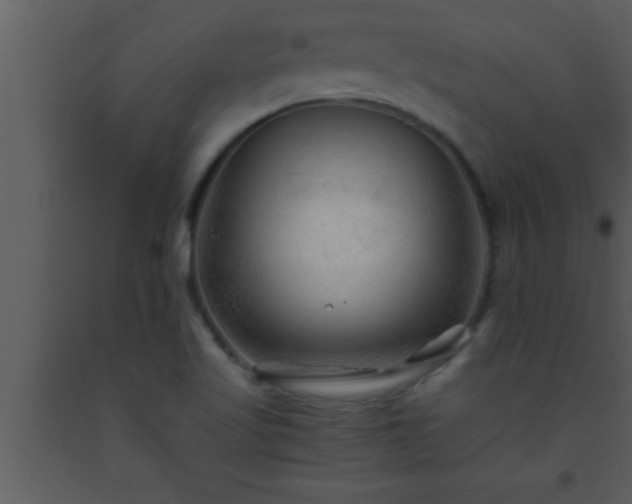 X0000093511509200710191259