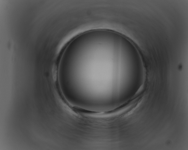 X0000093511510200710191259
