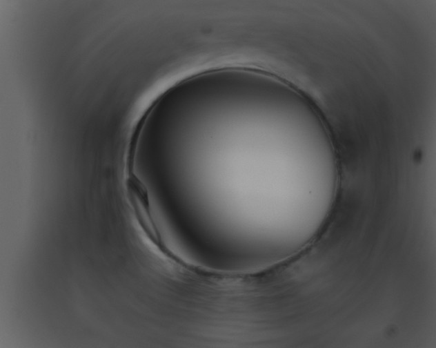 X0000093511512200710191259