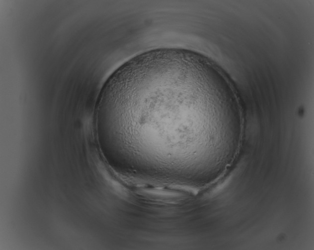 X0000093511513200710191259